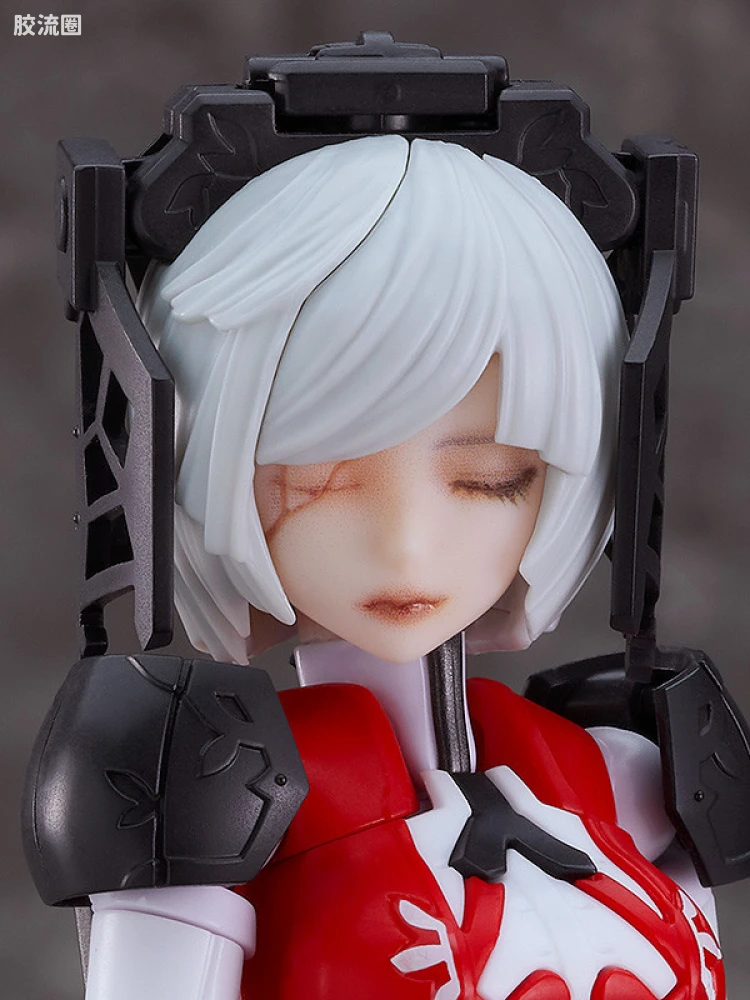chitocerium系列 ornatio系列 .face 0.2.1.3.0 γ