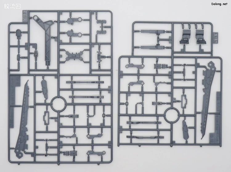 RG 网络限定版 00 XN RAISER - 图片