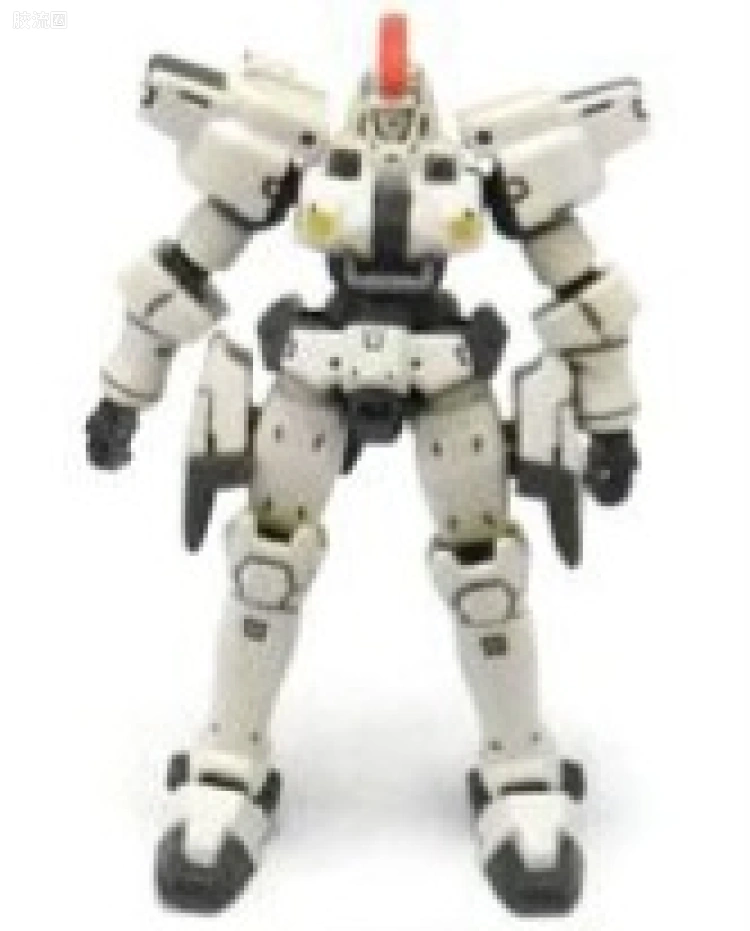 025 托鲁基斯