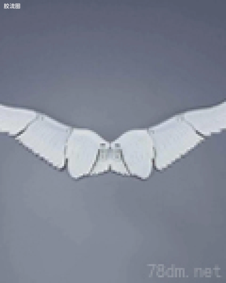 042 高空之翼