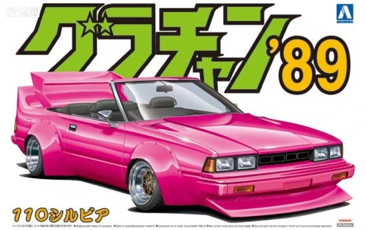 08 Silvia110 00637