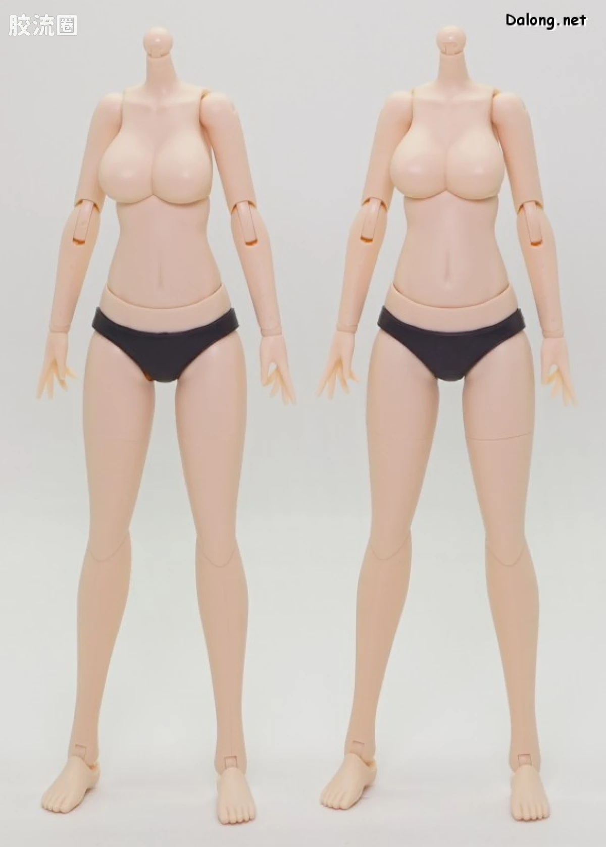 创彩少女庭园 Grande Scale Dress Up Body【M】& 轰雷 - 图片
