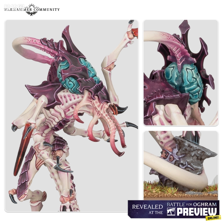 战锤40K Tyranid 泰伦虫族 10版 神经刀斧虫