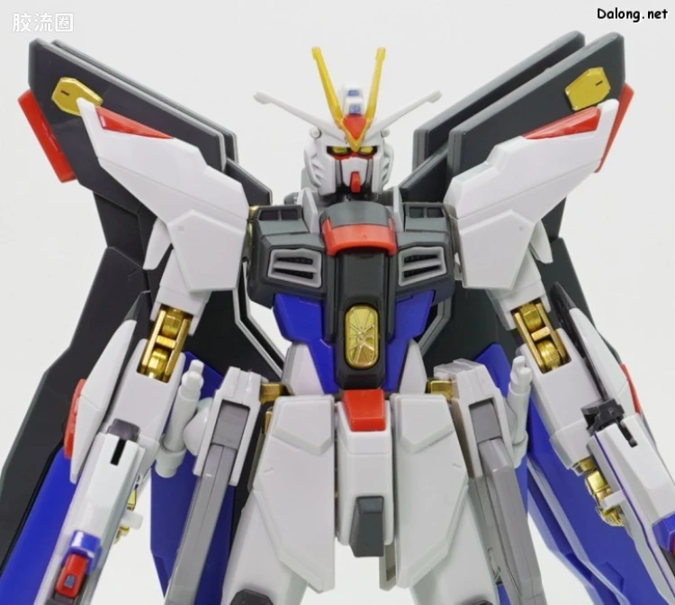 HGUC 网络限定版 强袭自由光之翼套装DX - 图片