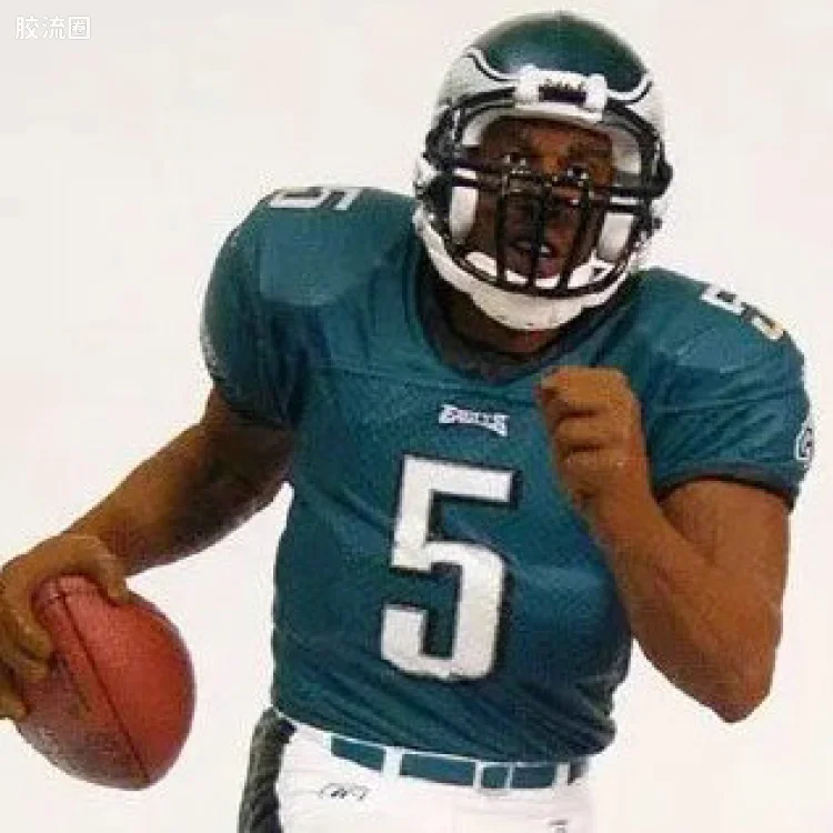 麦克法兰NFL美式足球系列玩具 12寸系列第2代 12-Inch DONOVAN McNABB