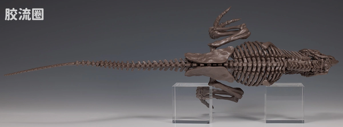万代综合拼装模型系列 Imaginary Skeleton系列 霸王龙 - 图片
