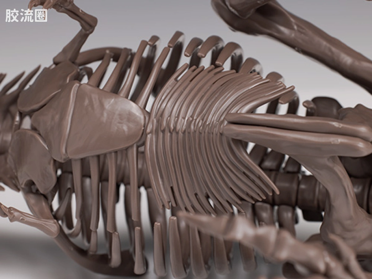 万代综合拼装模型系列 Imaginary Skeleton系列 霸王龙 - 图片