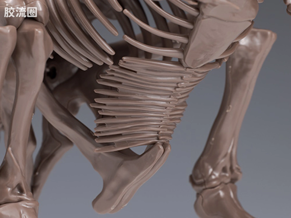 万代综合拼装模型系列 Imaginary Skeleton系列 霸王龙 - 图片