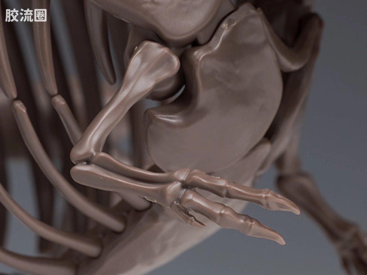 万代综合拼装模型系列 Imaginary Skeleton系列 霸王龙 - 图片