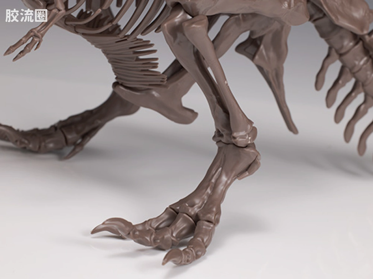 万代综合拼装模型系列 Imaginary Skeleton系列 霸王龙 - 图片