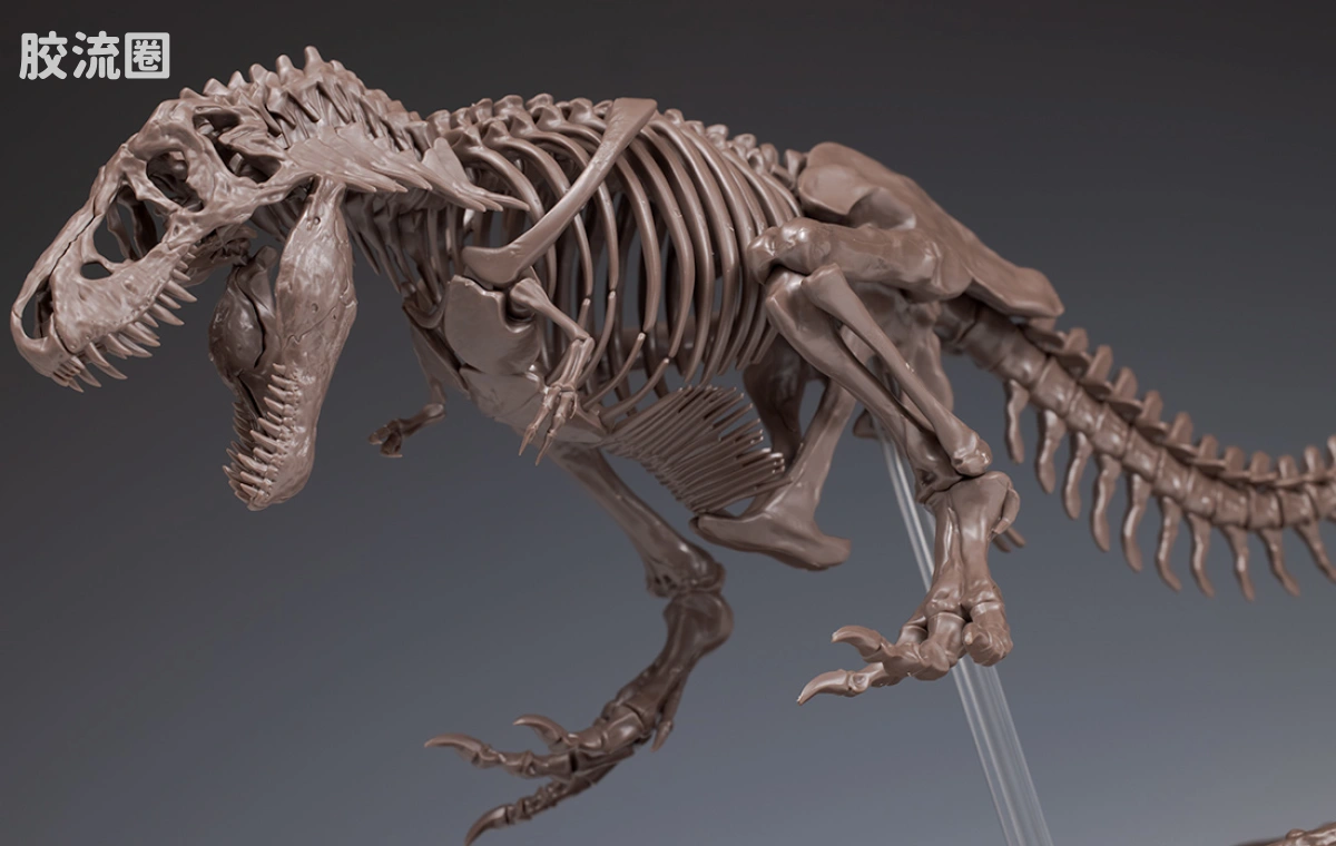 万代综合拼装模型系列 Imaginary Skeleton系列 霸王龙 - 图片