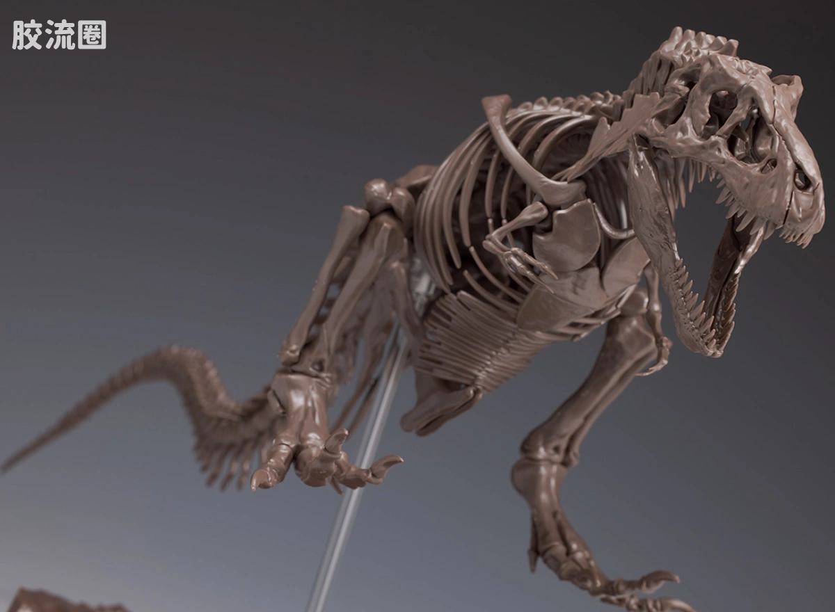万代综合拼装模型系列 Imaginary Skeleton系列 霸王龙 - 图片