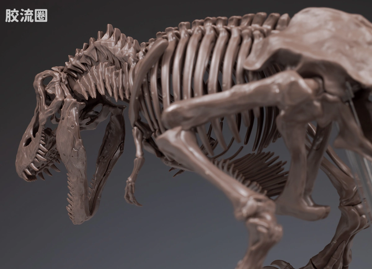 万代综合拼装模型系列 Imaginary Skeleton系列 霸王龙 - 图片