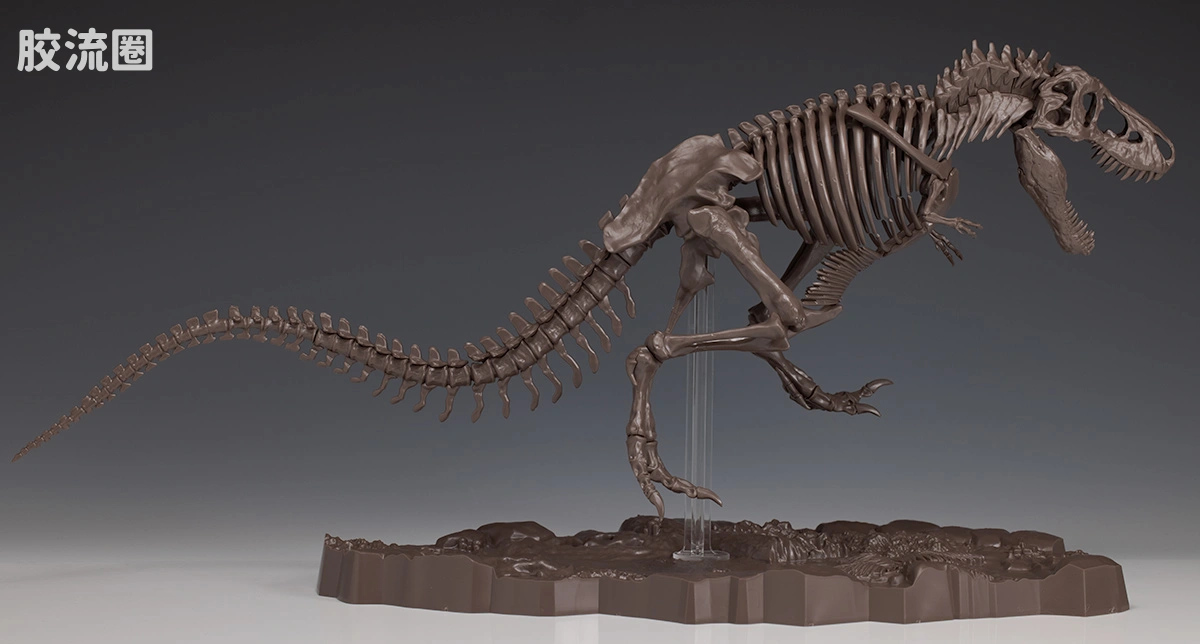 万代综合拼装模型系列 Imaginary Skeleton系列 霸王龙 - 图片