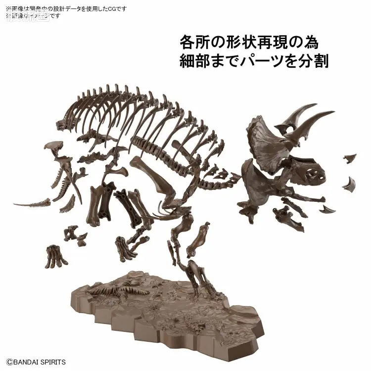 万代综合拼装模型系列 Imaginary Skeleton系列 三角龙 - 图片