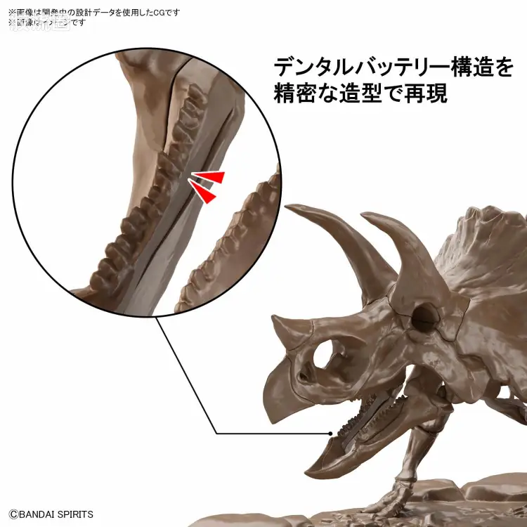万代综合拼装模型系列 Imaginary Skeleton系列 三角龙 - 图片