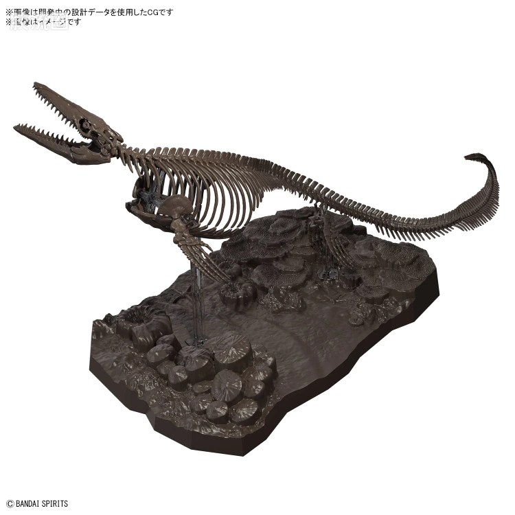 万代综合拼装模型系列 Imaginary Skeleton系列 沧龙 - 图片