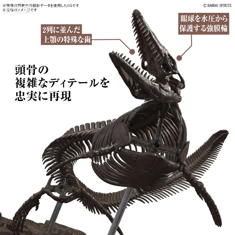 万代综合拼装模型系列 Imaginary Skeleton系列 沧龙 - 图片