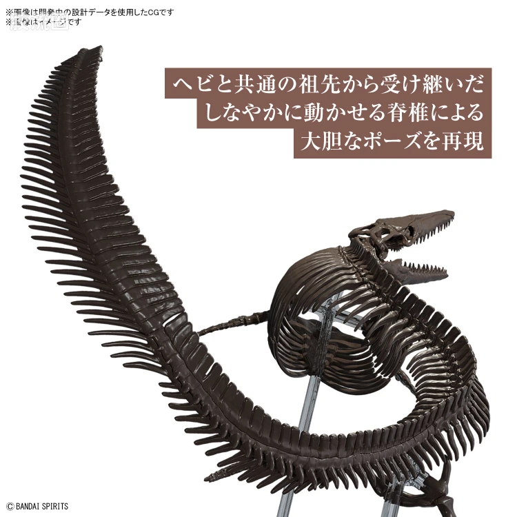 万代综合拼装模型系列 Imaginary Skeleton系列 沧龙 - 图片