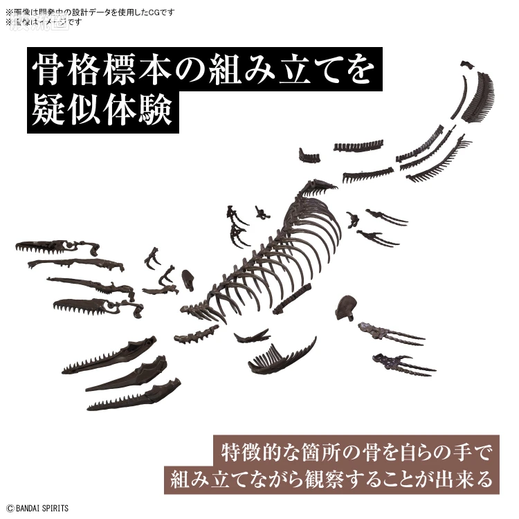 万代综合拼装模型系列 Imaginary Skeleton系列 沧龙 - 图片