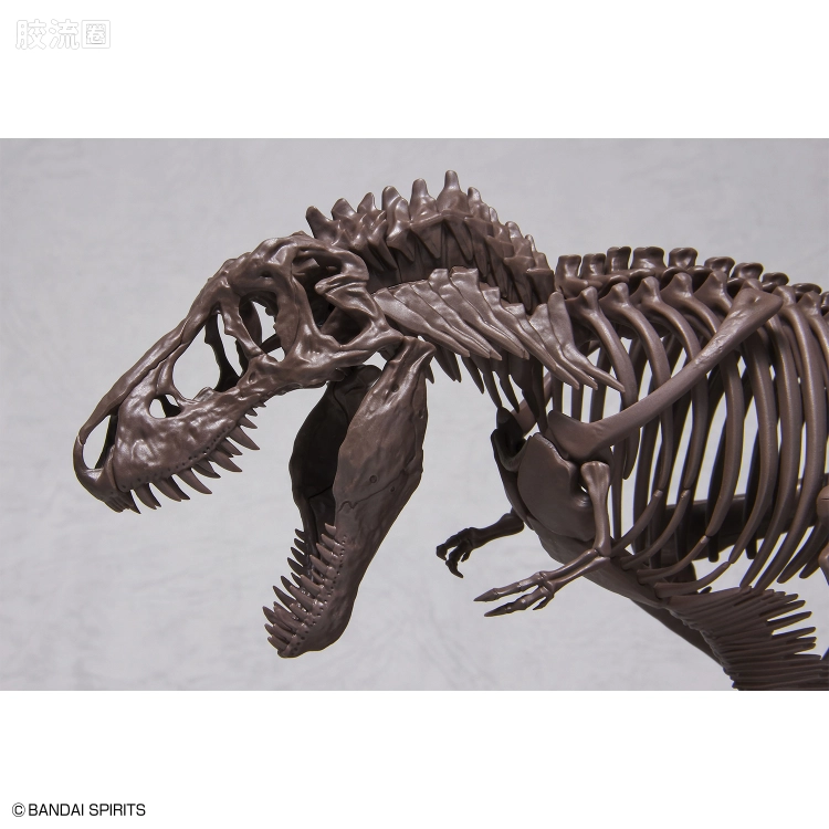 万代综合拼装模型系列 Imaginary Skeleton系列 霸王龙 - 图片