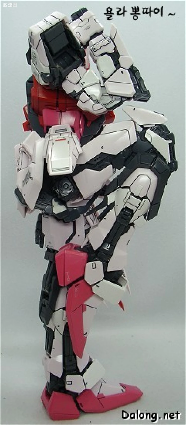 PG 普通版 MBF-02+AQM/E-X01 空装强袭嫣红 + FX-550 空中霸王 - 图片