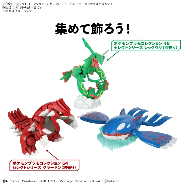 宝可梦进化系列模型 普通版 NO.62盖欧卡 - 图片