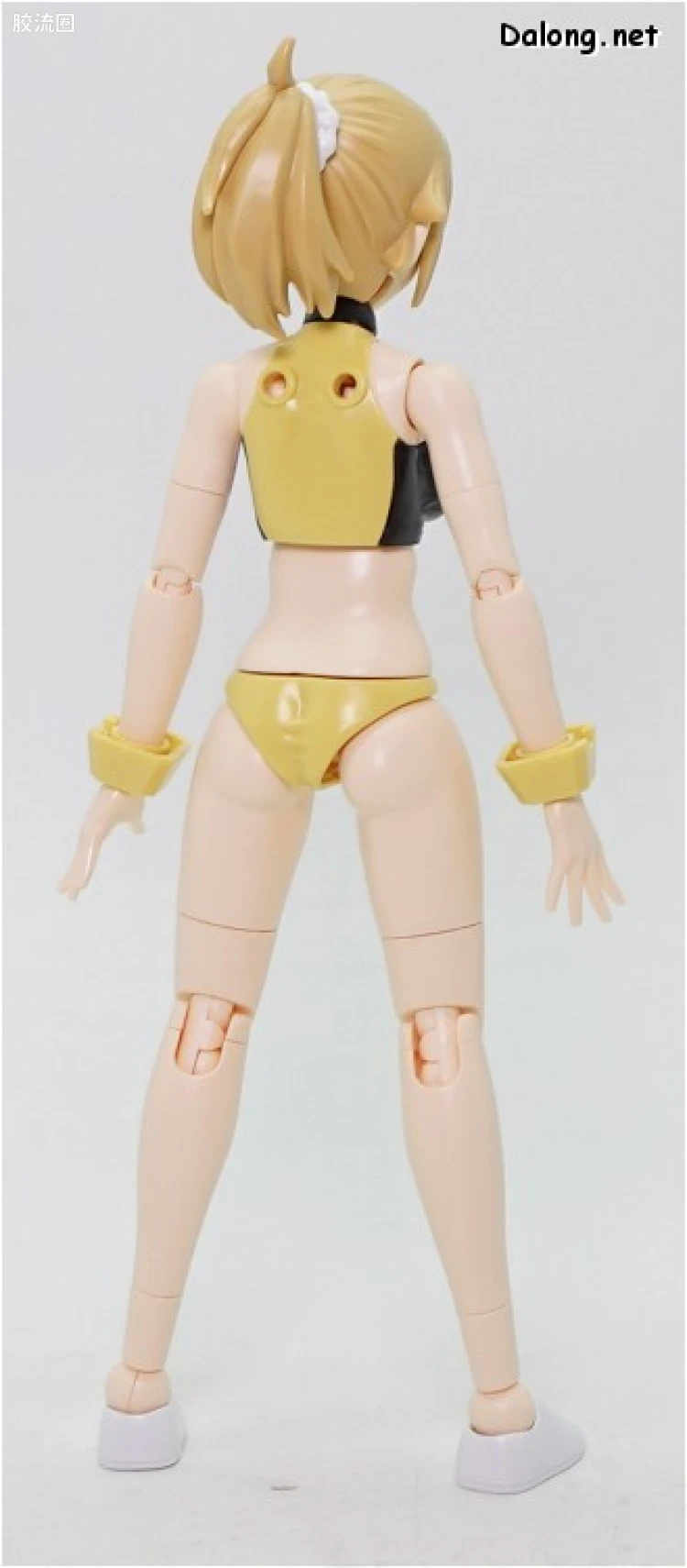钢普拉Build 综合 HGBF 062 凯旋文奈 - 图片