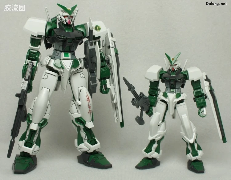 机动战士高达SEED HG SEED&SEED DESTINY 55 异端高达绿色机 - 图片