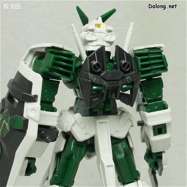 机动战士高达SEED HG SEED&SEED DESTINY 55 异端高达绿色机 - 图片