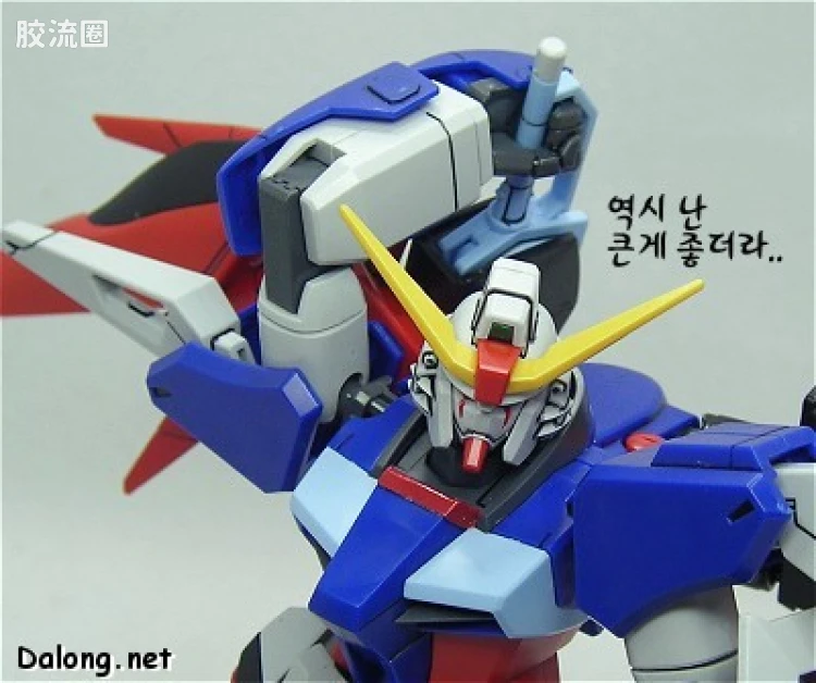 机动战士高达SEED SEED DESTINY 1/100 08 ZGMF-X42S 命运高达 - 图片