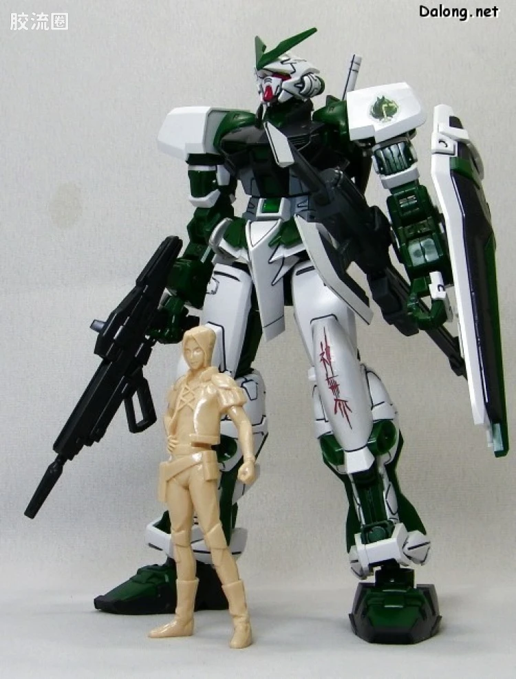 机动战士高达SEED SEED DESTINY 1/100 16 异端高达绿色机 - 图片