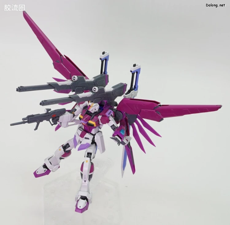RG 网络限定版 命运脉冲高达 - 图片