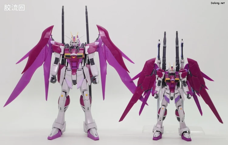 RG 网络限定版 命运脉冲高达 - 图片