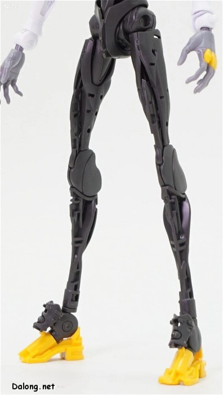RG EVANGELION系列 EVA 正规实用型 2号机 - 图片