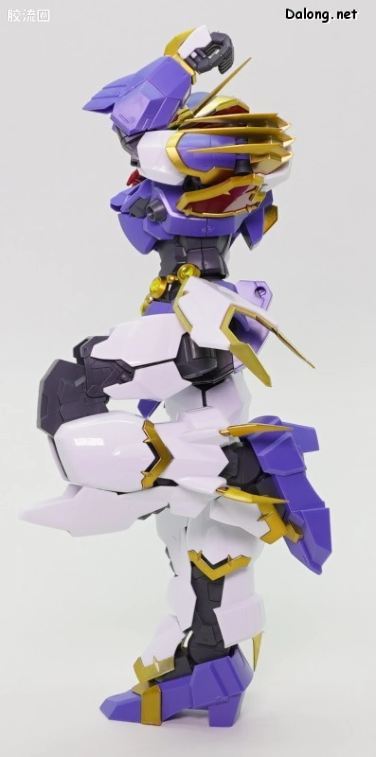 万代综合拼装模型系列 HG Amplified IMGN 龙神丸 - 图片