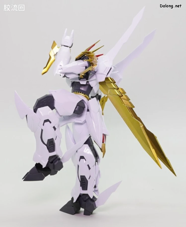 万代综合拼装模型系列 HG Amplified IMGN 龙王丸 - 图片