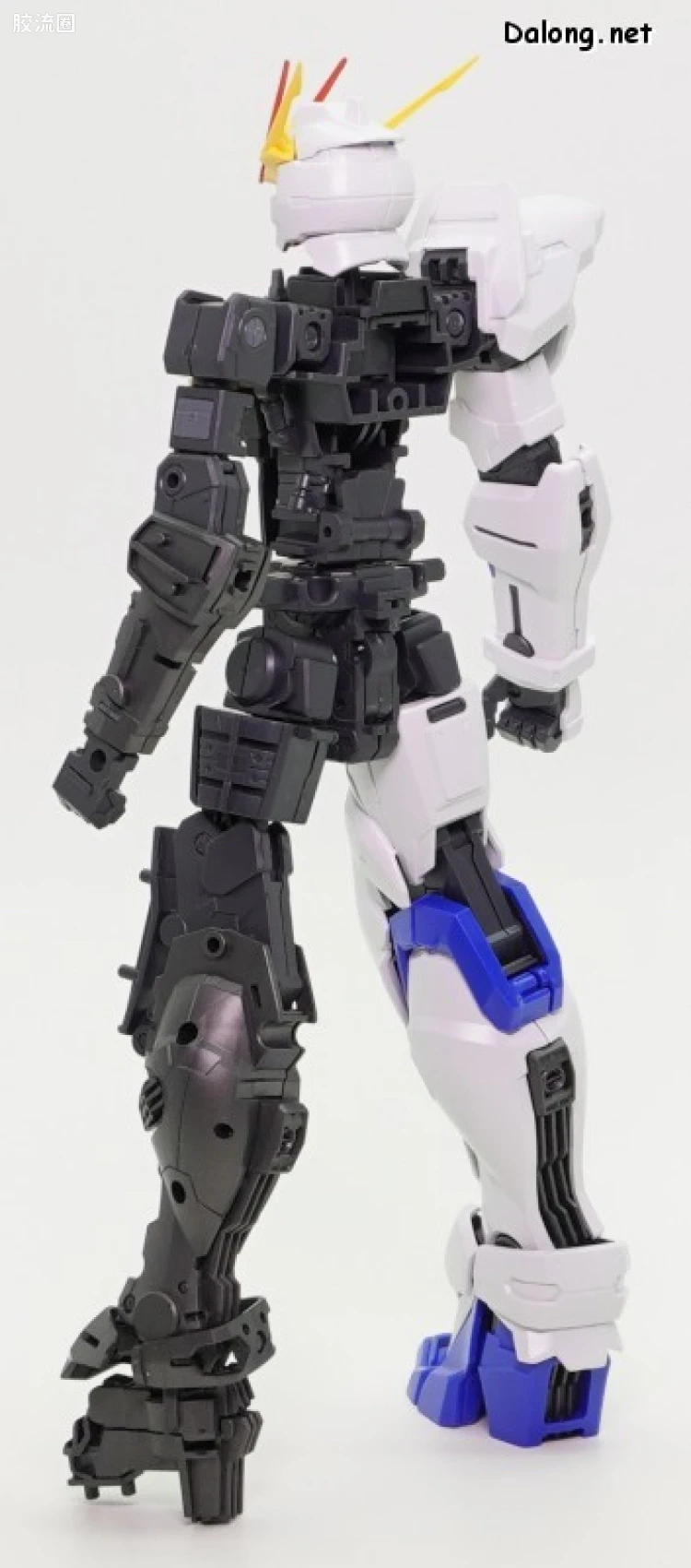 MG 网络限定版 ZGMF-X12D 异端高达非规格机D型 - 图片