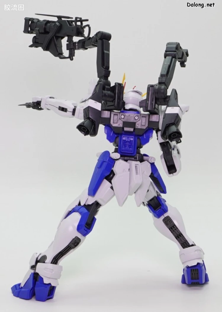 MG 网络限定版 ZGMF-X12D 异端高达非规格机D型 - 图片
