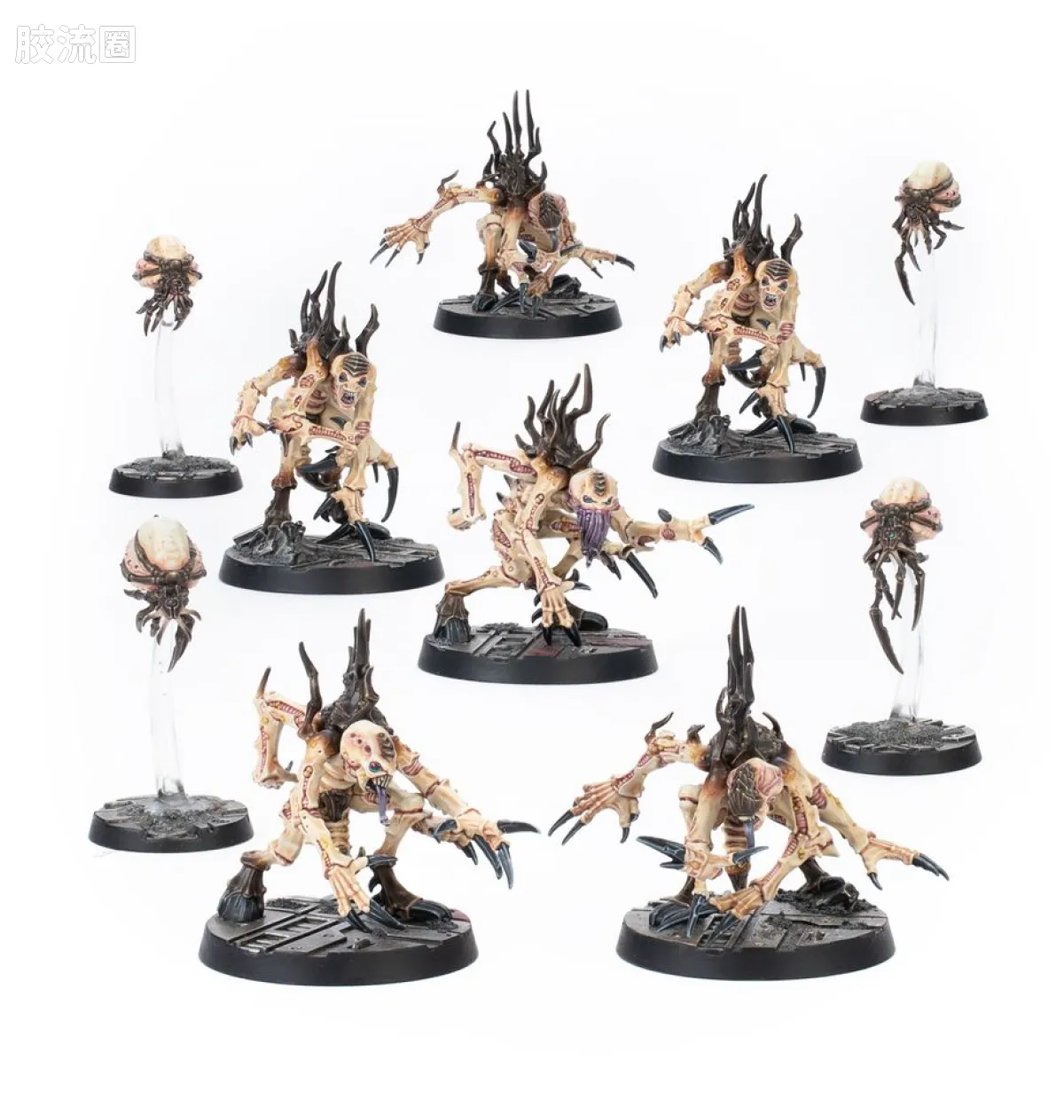 涅克洛蒙达 Necromunda Malstrain 劣血种 3版 劣血种憎恶基因窃取者战帮