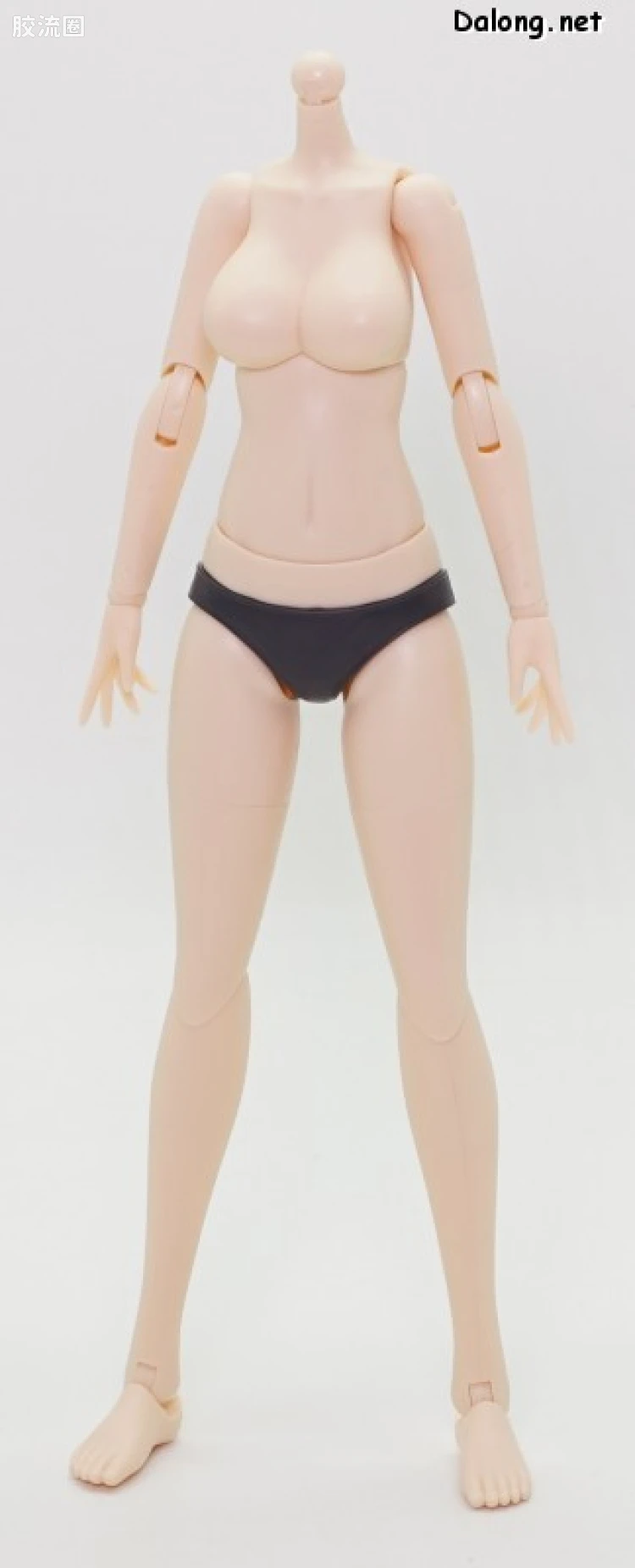 创彩少女庭园 Grande Scale Dress up Body 【M】& 源内苍 - 图片