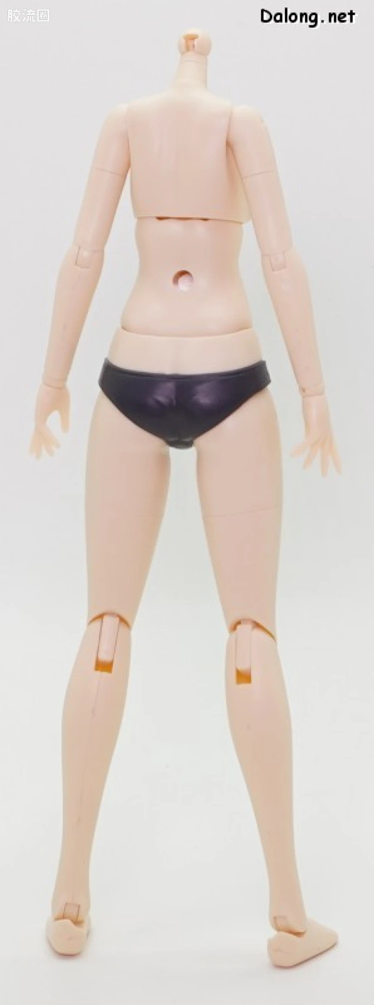 创彩少女庭园 Grande Scale Dress up Body 【M】& 源内苍 - 图片