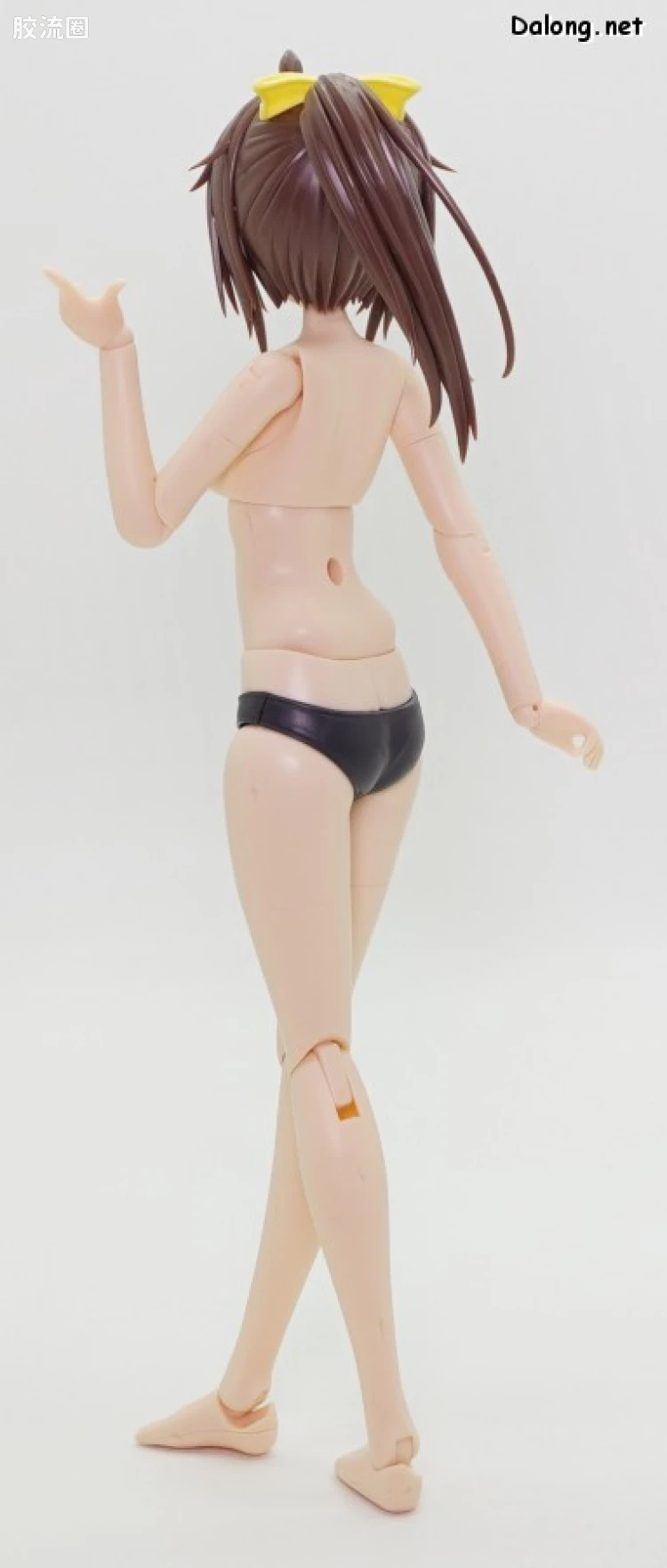 创彩少女庭园 Grande Scale Dress up Body 【M】& 源内苍 - 图片