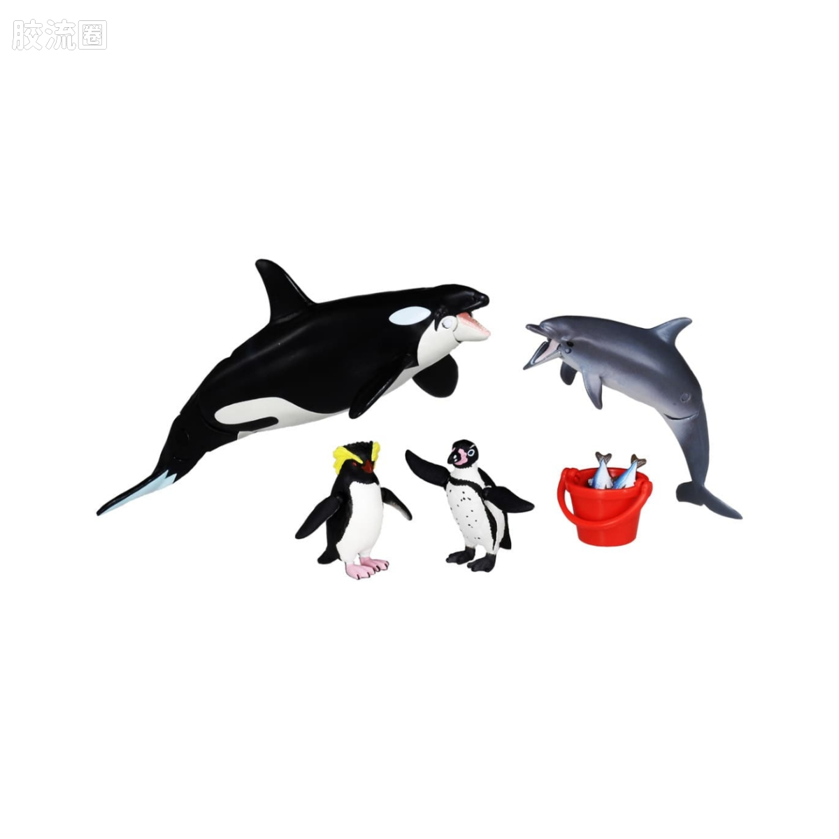 AA-02 水族馆的人气套装