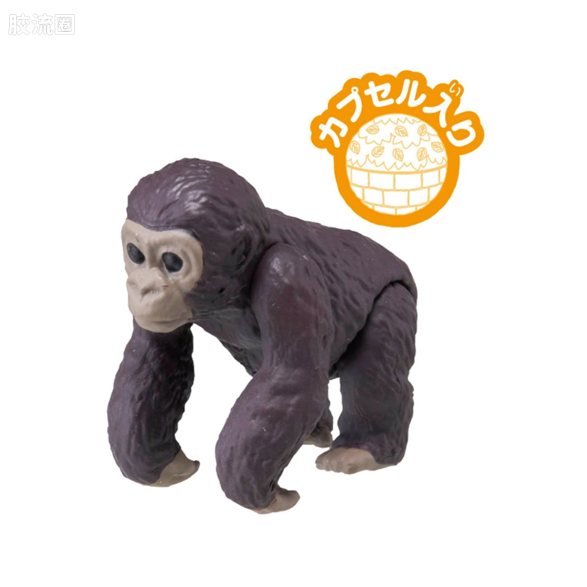 AC-03 猩猩(小猩猩)
