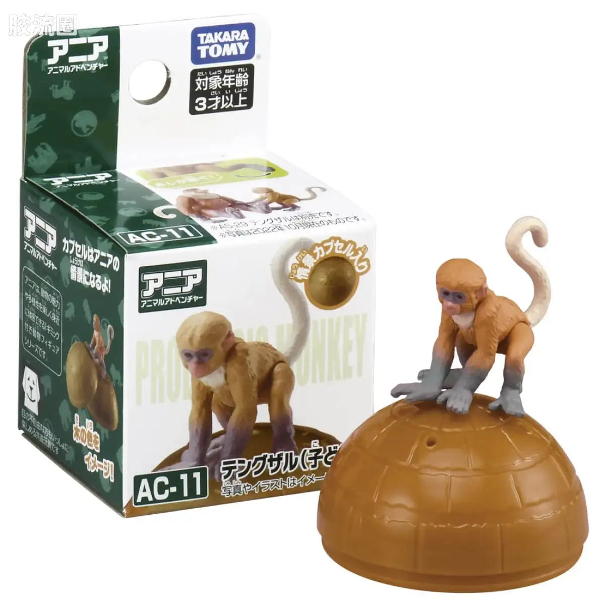 动起来的动物图鉴 动物冒险 AC系列 AC-11 长尾猴(幼崽)