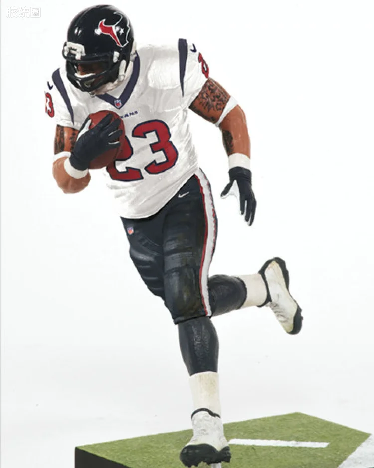ARIAN FOSTER
