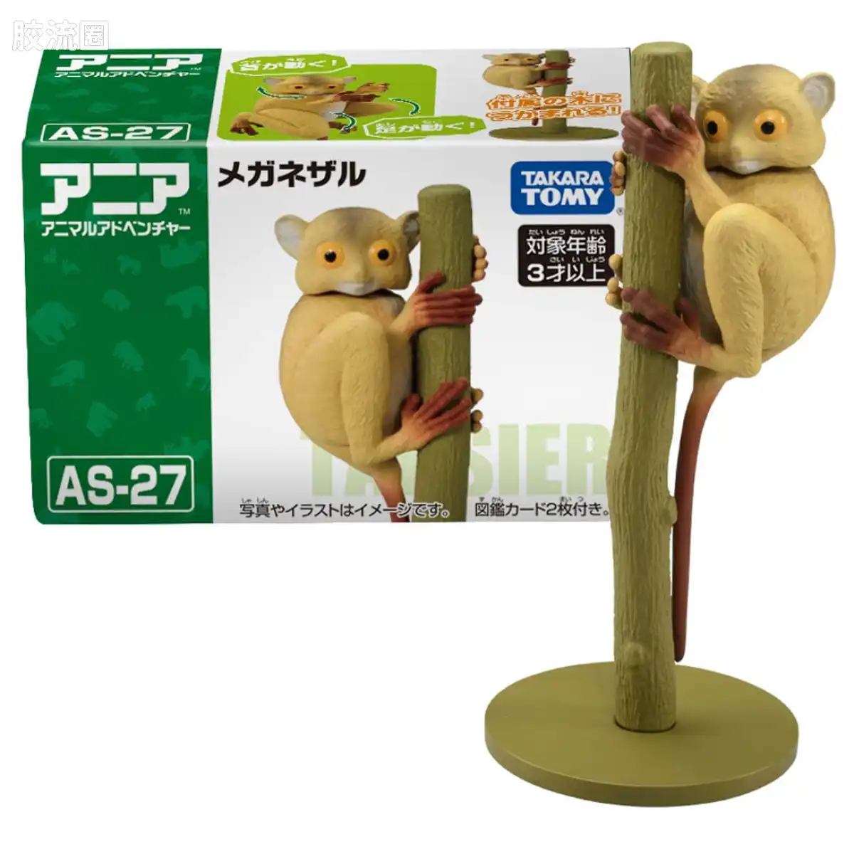 动起来的动物图鉴 动物冒险 AS系列 AS-27 眼镜猴(西部眼镜猴)