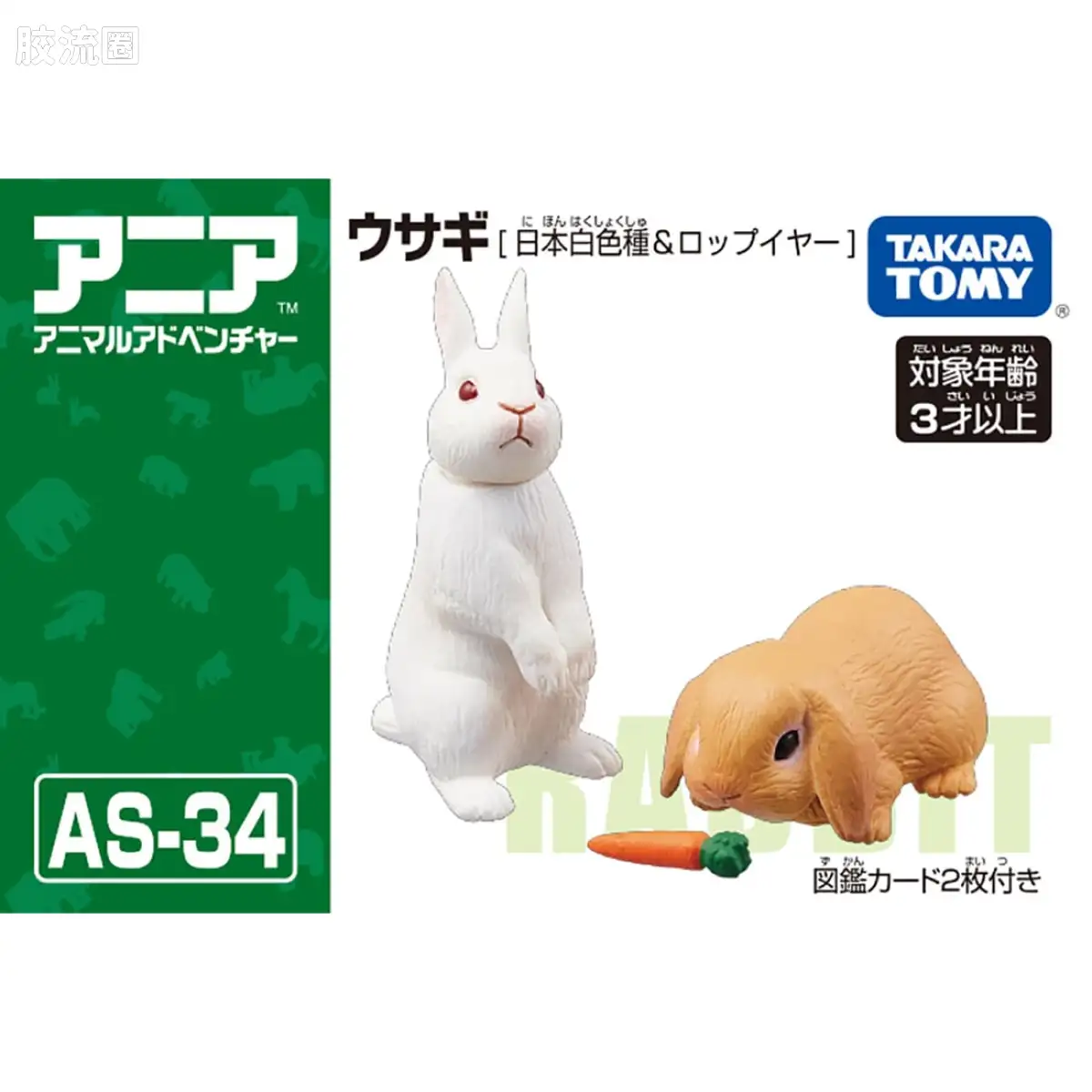 动起来的动物图鉴 动物冒险 AS系列 AS-34 兔子  日本白兔和长毛兔