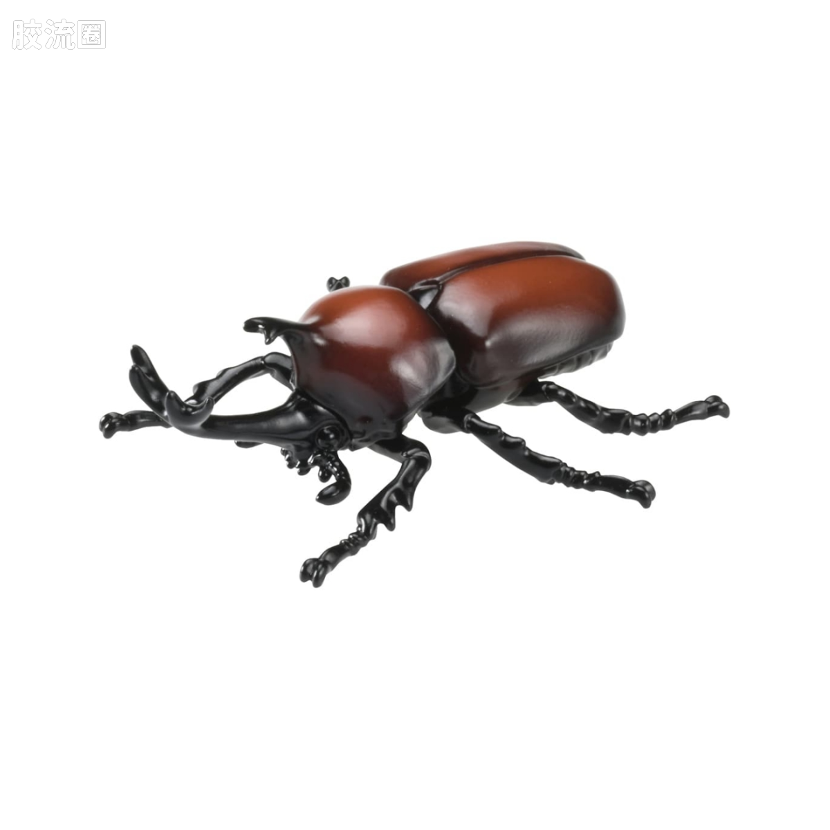 AS-37 独角仙